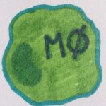 MO