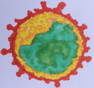 MERS-CoV