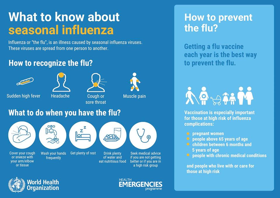 Influenza Week! Day Five What to Know About Seasonal Flu The Vaccine Mom